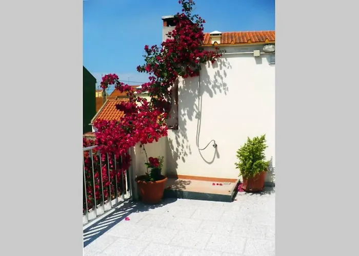 Casa Afonso- 아파트 *